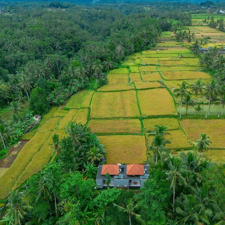 The Alus Cottage And Villa Ubud  Bagian luar foto