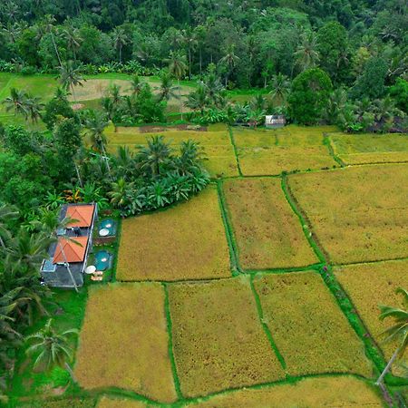 The Alus Cottage And Villa Ubud  Bagian luar foto