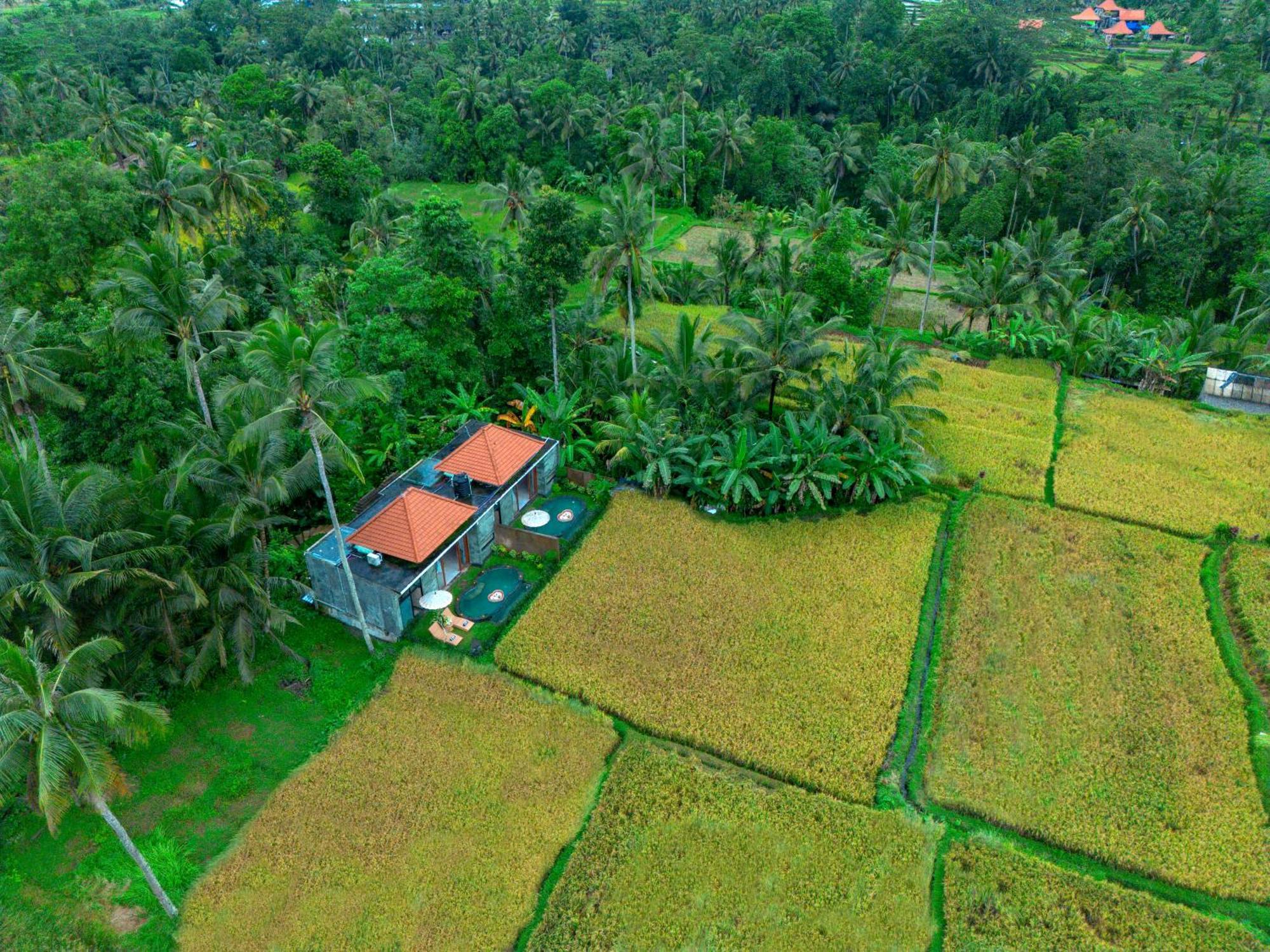 The Alus Cottage And Villa Ubud  Bagian luar foto