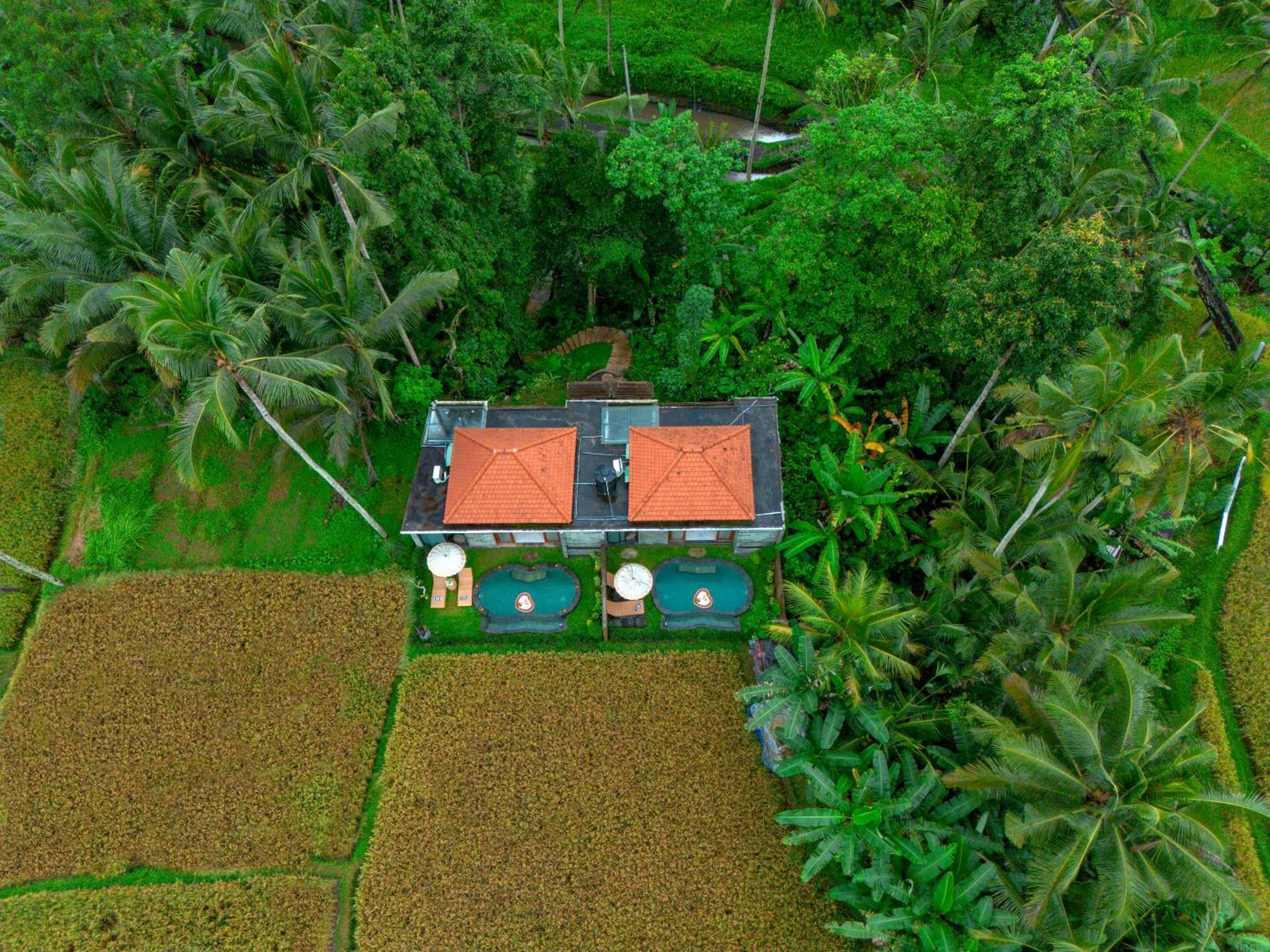 The Alus Cottage And Villa Ubud  Bagian luar foto
